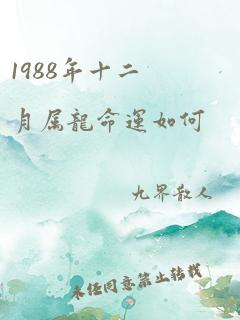 1988年十二月属龙命运如何