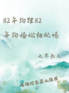 82年狗跟82年狗婚姻相配吗