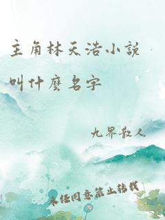 主角林天浩小说叫什么名字