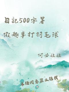 日记500字暑假趣事打羽毛球