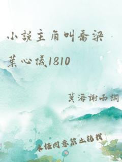 小说主角叫乔梁叶心仪1810