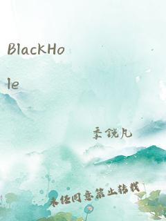 BlackHole 作者：季锐凡