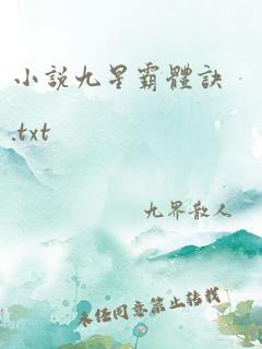 小说九星霸体诀.txt