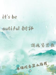 it's beautiful 翻译