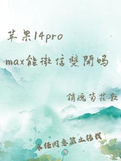 苹果14promax能微信双开吗