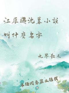 江辰遇沈暮小说叫什么名字