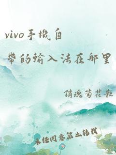 vivo手机自带的输入法在哪里