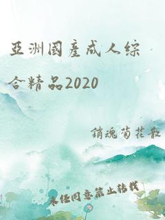 亚洲国产成人综合精品2020