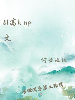 bl高h np文