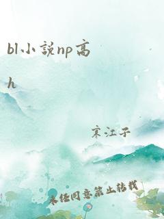 bl小说np高h