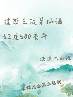 琼浆玉液茅仙酒52度500毫升