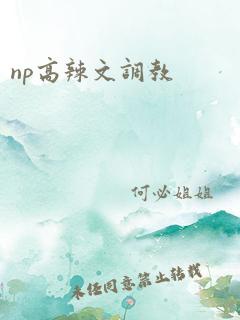 np高辣文调教