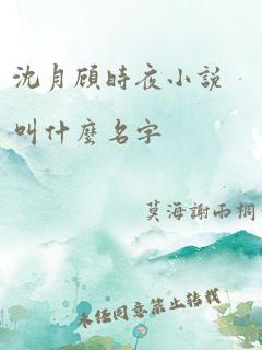 沈月顾时夜小说叫什么名字