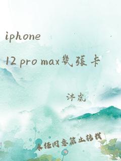 iphone 12 pro max几张卡