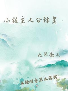 小说主人公林昊