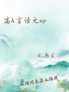 高h言情文np