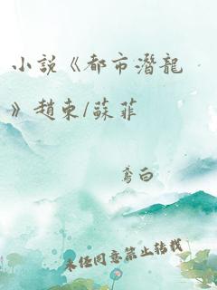 小说《都市潜龙》赵东/苏菲