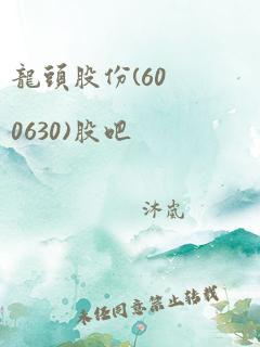 龙头股份(600630)股吧