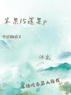 苹果15还是promax