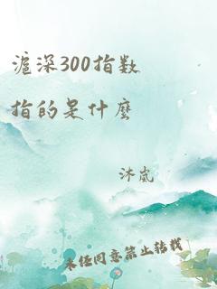 沪深300指数指的是什么