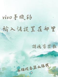 vivo手机的输入法设置在哪里