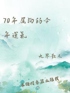 70年属狗的今年运气