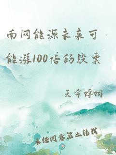 南网能源未来可能涨100倍的股票