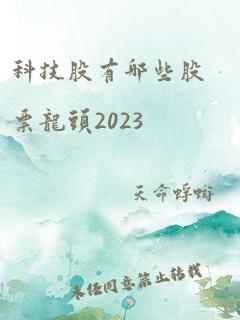 科技股有哪些股票龙头2023