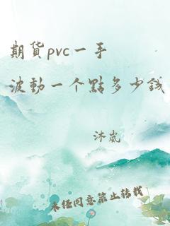 期货pvc一手波动一个点多少钱