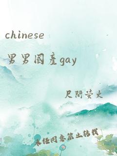 chinese男男国产gay