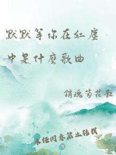 默默等你在红尘中是什么歌曲