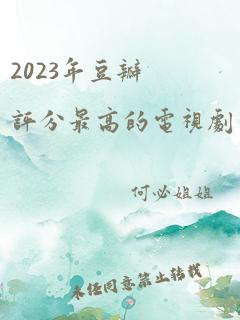 2023年豆瓣评分最高的电视剧