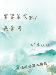 男男暴菊gay无套网