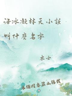 洛冰凝林天小说叫什么名字