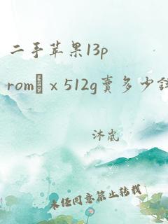 二手苹果13promαⅹ512g卖多少钱