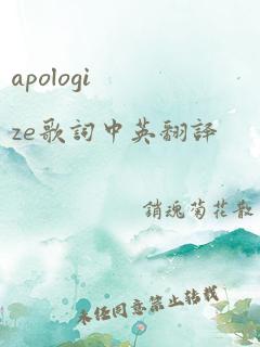 apologize歌词中英翻译