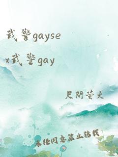 武警gaysex武警gay