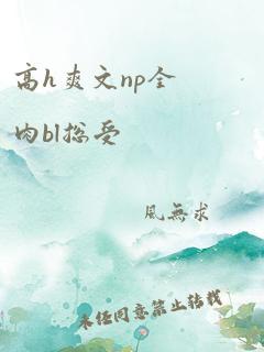 高h爽文np全肉bl总受