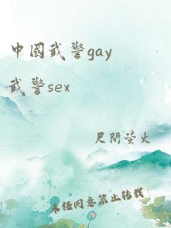 中国武警gay武警sex