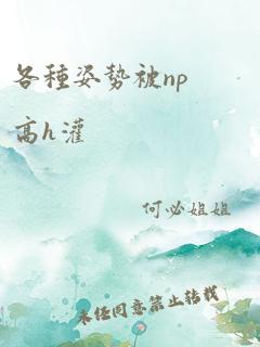 各种姿势被np高h灌