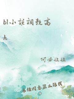 bl小说调教高h