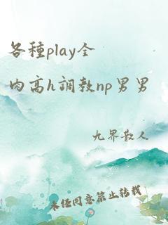 各种play全肉高h调教np男男