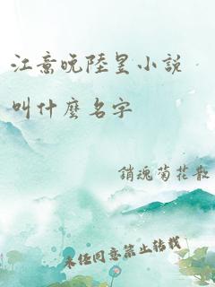 江意晚陆昱小说叫什么名字