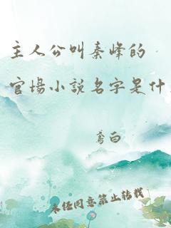 主人公叫秦峰的官场小说名字是什么