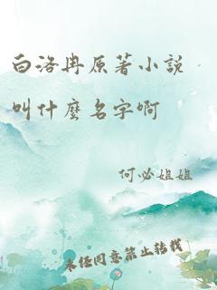 白洛冉原著小说叫什么名字啊