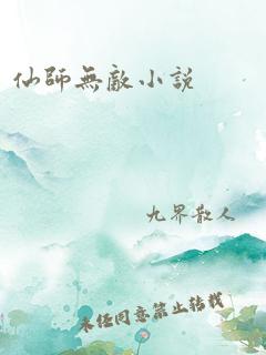 仙师无敌小说