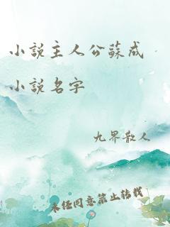 小说主人公苏成小说名字