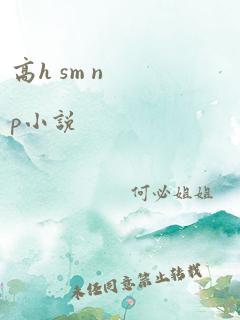 高h sm np小说