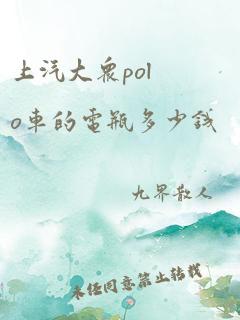 上汽大众polo车的电瓶多少钱