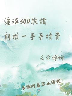 沪深300股指期权一手手续费